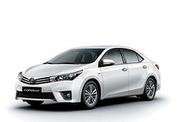 Toyota Corolla E210, 2018-present